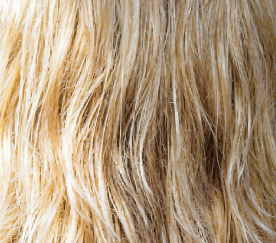 Häufig gebleichtes oder gefärbtes Haar