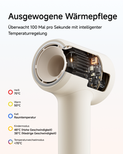 Laifen Air Pro Hochgeschwindigkeits-Haartrockner