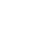 Temperaturkontrollsystem für Haartrockner